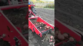 Супер техника. Уборка картофеля японским мини трактором.