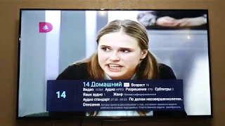 TELEFUNKEN TF-LED65S37T2SU пример цифрового ТВ - DVB-T2 /ИГРЫ