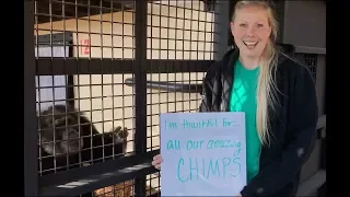 What we're thankful for at Project Chimps