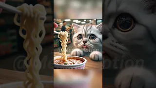 So easy to make instant noodles!🤤#cat #cute #kitten #funny #catlover #kitty