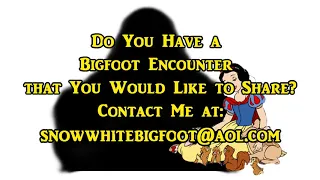 Bigfoot Encounters Shared by My Viewers; Series Launch