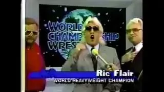 Best Promos - Ric Flair - Let me explain something to you 3 cartoon characters...