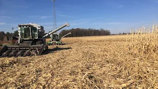 Day 6 of corn harvest 2020 with gleaner combines
