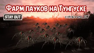 Stay Out Фарм пауков на Тунгуске Stalker Online