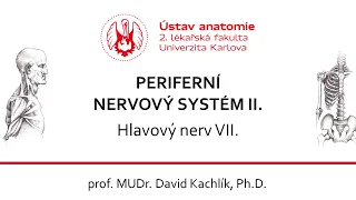 PNS  - Hlavové nervy 2