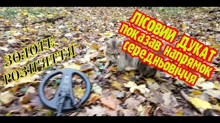 Знайшли середньовічне поселення в лісі!Золоте розп'яття!