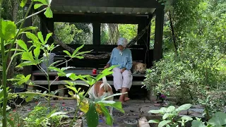 Country living daily life/ Make Banana Snack and Repair the Washing Basin