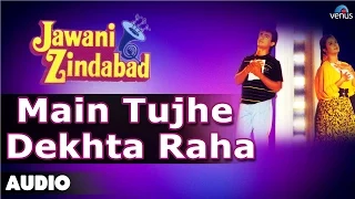 Jawani Zindabad : Main Tujhe Dekhta Raha Full Audio Song | Aamir Khan, Farah Khan |