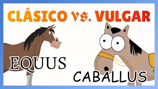 VOCABULARIO del latín CLÁSICO y VULGAR: diferencias #EvoluciónEspañol