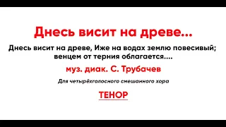 🎼 "Днесь висит на древе" С. Трубачев (тенор)