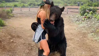60 Interesting Animal Moments Caught On Camera When Animals Reunion After Years