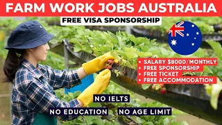 Australia Farm Work Jobs with FREE Visa Sponsorship for 2024 - Australia Work Visa