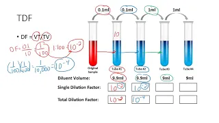 Determining the Total Dilution Factor