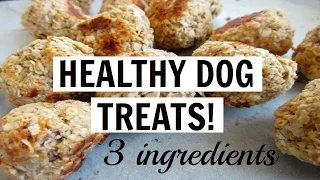 3 INGREDIENT HEALTHY DELICIOUS DOG TREATS! (vegan)