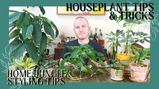 Home Jungle Styling Tips | Houseplant Tips & Tricks Ep. 26