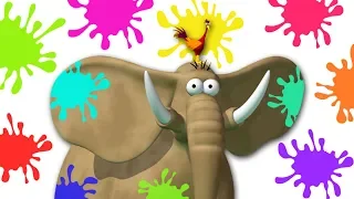 COLORFUL ELEPHANT | Funny Animal Cartoon For Kids | Gazoon - The Official Channel