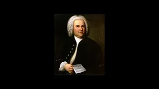 Johann Sebastian Bach el apasionado - Biografía por Vilma Pedreros