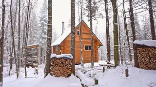 Building A Log Cabin | Ep. 65 | Finally, a cozy place to relax in a snowstorm! Winter Cabin Life