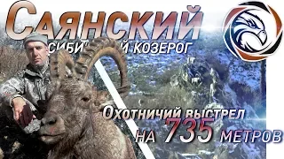 ТРОФЕЙНАЯ ОХОТА НА САЯНСКОГО КОЗЕРОГА