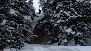 14+ Inch Powder Day at Aspen Snowmass