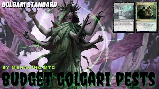 Budget Pest Deck - Standard Golgari