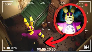 What if i Install HIDDEN CAMERAS Near Glamrock SPRING BONNIE's Room? [FNAF Security Breach]