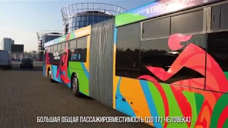 Автобус МАЗ 216