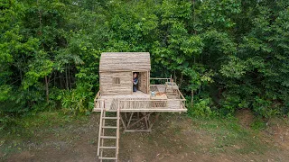 Girl Living Off The Grid Built Log House alone in The Wild, Solo Survival Building Tree House Skills