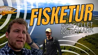 Fisketur på Nesfjellet i sol og regn (vi MISTER stanga i vannet!!)