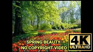 No Copyright Video | Natural Beauty 2K20 | Spring Season| Cool Breeze