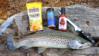 BIG BROWN TROUT Catch n' Cook (Winter Edition)