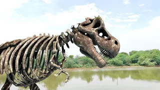 T-Rex Attack - Dinosaur Fan Movie