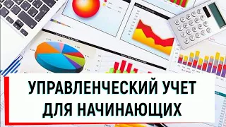 Управленческий учет для начинающих #1. Бухучет