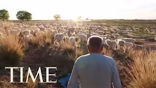 China's Greening Of Vast Kubuqi Desert Is A Model For Land Restoration Projects Everywhere | TIME