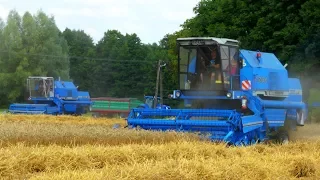 Rekordowe Żniwa 2019 ☆ 2x Bizon Z058 Rekord ☆ NewHolland T7030