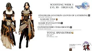 Level Progress Glams - Scouting Week 1[High Gil Version] [30] [FFXIV]