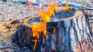 Watch This Before Attempting To Burn Away That Tree Stump