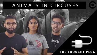 Should Animals Be Banned From The Circus And Zoo?