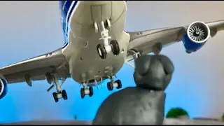 Boeing 747 plane crash caused by cat - airport stop motion animation