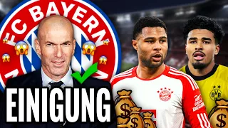 Zinedine ZIDANE mit FC BAYERN EINIG?! Neue KLUBS für GNABRY & MAATSEN!