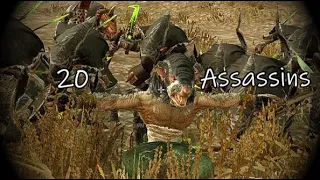 20 Assassins