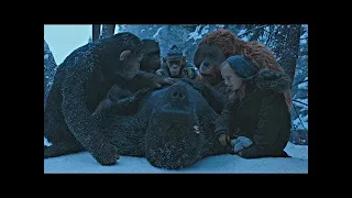 Luca's Death Scene | War for the Planet of the Apes (2017)#LOWI