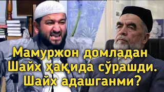 Мамуржон домладан Шайх ҳақида сўрашди