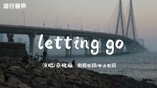 蔡健雅-letting go「我終於捨得為你放開手，因為愛你愛到我心痛」動態歌詞/中文歌詞