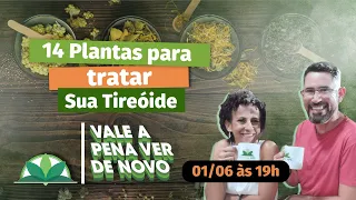 Você tem problemas na Tireoide? Conheça 14 plantas para tratar sua TIREOIDE!