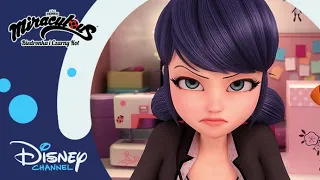 🤭 Urodzinowa pułapka! | Miraculous: Biedronka i Czarny Kot | Disney Channel Polska