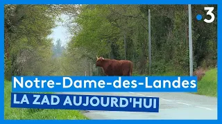 Notre-Dame-des-Landes, la ZAD 5 ans après