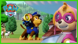 Кученцата спасяват тавана на силоз - PAW Patrol Bulgarian - карикатури за деца