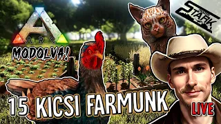 ARK Modolva! - 15.Rész (Mi kis FARMUNK!🐔) - Stark LIVE