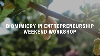 Biomimicry in Entrepreneurship – Weekend Workshop